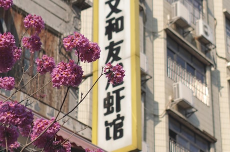 西安汽车站时刻表 隶属于陕西省交通厅