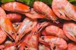皮皮虾怎么做好吃，这样做简单又美味