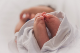 5个月的宝宝发育标准(5个月的宝宝发育标准怎么看？)